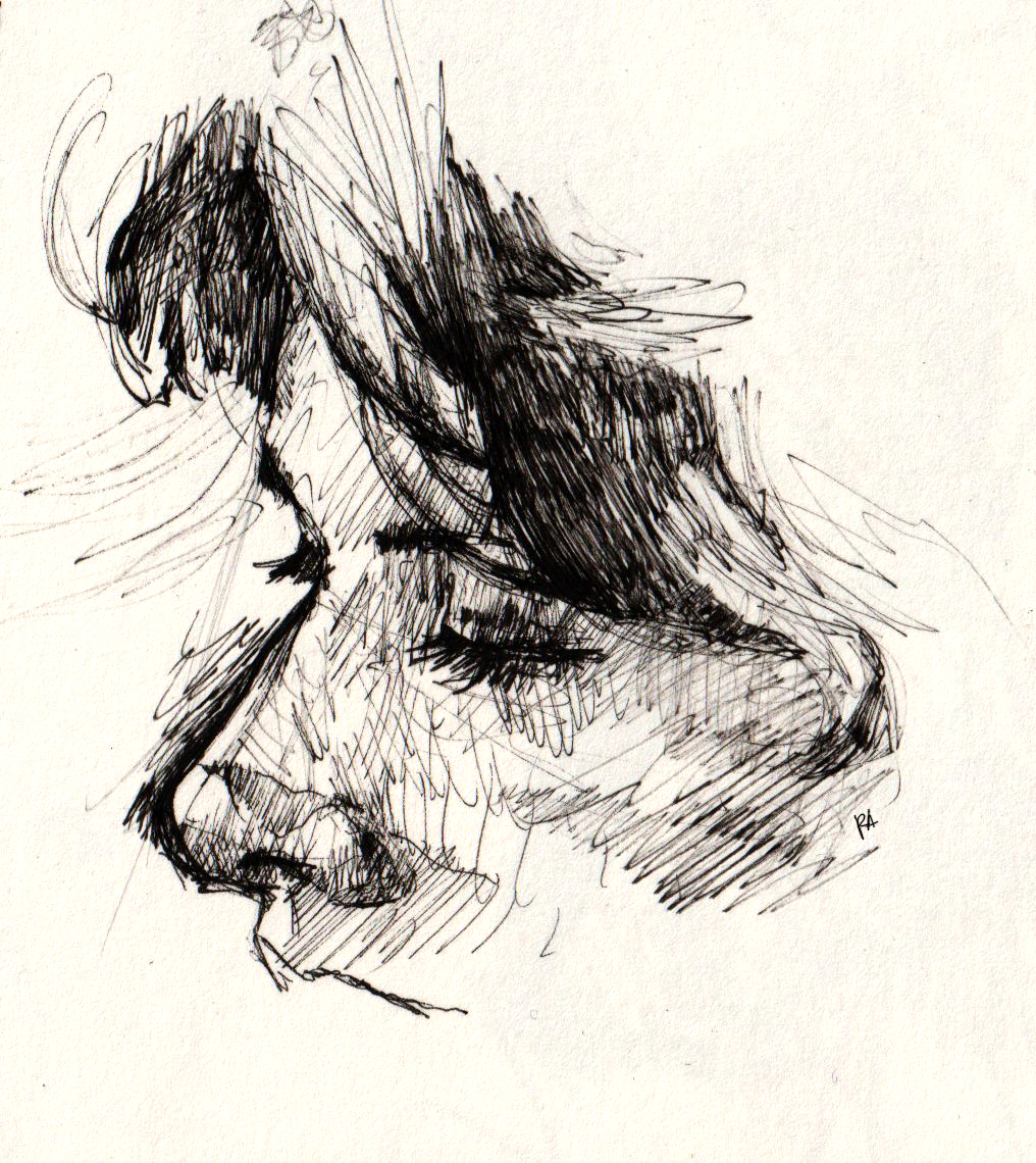Croquis